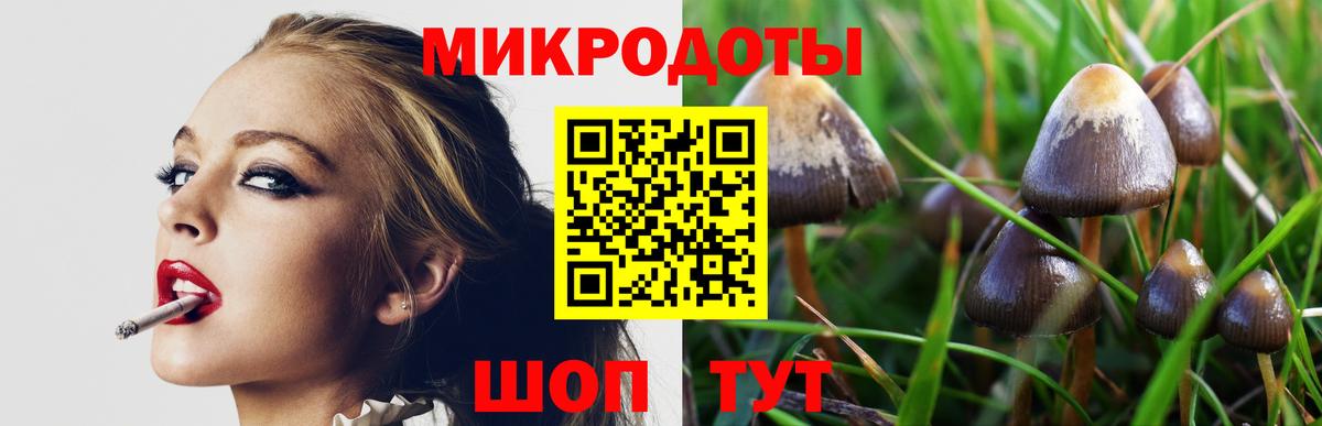 Алексеевка  Псилоцибиновые грибы Psilocybe  купить наркоту  Вход с VPN 